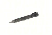 Geprüfter Injektor Common Rail DELPHI CRI A6510702887 MERCEDES-BENZ M-CLASS ML 250 CDI / BlueTEC 4-matic 150kW